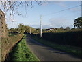 Rural lane near Spring Grove