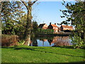 Village Pond, Fenton