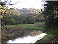 West Looe River south of Sowden