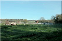 SU6717 : Poultry farming at Hyden Farm, near Hambledon by Martyn Pattison