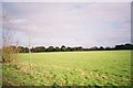 Farmland, Braywoodside