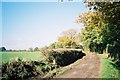 Bridleway, off the Drift Road