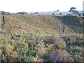 Canford Heath, Dorset