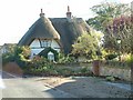 Green Thatch Cottage