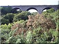 W6061 : Halfway Viaduct, near Ballinhassig, Co, Cork by Ralph Rawlinson
