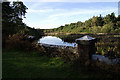 Morden Park Lake