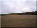 Looking up Cairny Hill