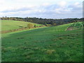 Sarratt: Buckshill Bottom valley