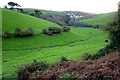 The valley above Kingswear