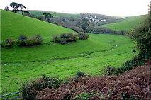 SX8952 : The valley above Kingswear by Crispin Purdye