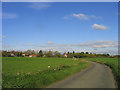 Unfenced road - near Writtle