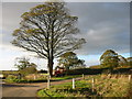 Tree, Harvester and Storm Cloud