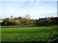 Looking west from Caring Lane