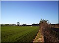 Fields with Pert Farm in the background