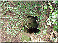 Alsia Holy Well