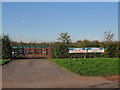 Frenchay Christmas Tree Farm