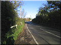 Weald Bridge, Magdalen Laver, Essex