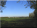 A distant view of Moreton from Bobbingworth