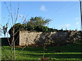 Quaker Cemetery Thealby