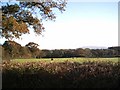 Farmland near  Upcott