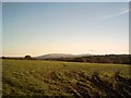 Farmland near Deckport