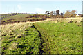 Footpath near Naptor