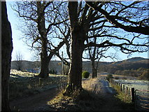 NS5281 : West Highland Way Near Dumgoyach by Iain Thompson