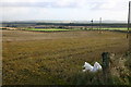 Farmland near Hill of Summertown