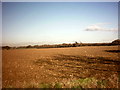 TM3666 : Newly sown field in November by Geographer