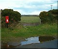 Gate, gorse and letter box