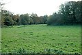 Valley Bottom Pasture at Gwindra