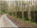 Road fenced with sleepers