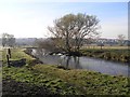 Not the River Rother, Woodhouse Mill