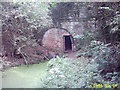 Berwick tunnel, the Shrewsbury canal