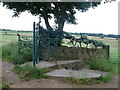 Ornate Gateway on the Kirklees Way