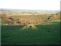 Waterhouse Copse