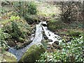 Tinner leat in Trevelloe woods