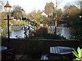 Duck pond on Stamford Green, Epsom Common