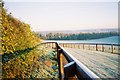 Frosty gallops, Rosehill