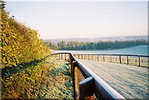 SU8082 : Frosty gallops, Rosehill by Andrew Smith