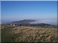 Mist "Pouring" Through The Cotswolds