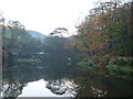 Wickenhall Trout Pond near Ogden, Newhey