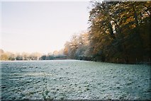 SU8585 : Frosty farmland next to Quarry Wood by Andrew Smith