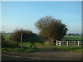 The footpath to Hillgreen Farm