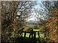 Footpath Punnets Town