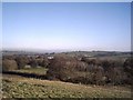 Farmland near Taw Green