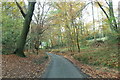 Unclassified road heading north-west through Fugsdon Wood