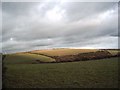 View of Willingcott Hill from High Bullen