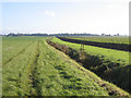 TF2304 : Farmland E of the Northolm, Eye Green, Peterborough by Rodney Burton