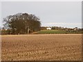 Farmland by Airdrie